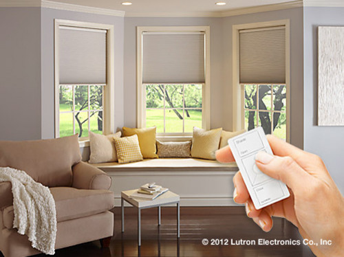 Lutron serena remote controlled shades